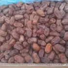 تمر سري 220 كرتون 21 كيلو إنتاج 1447 السليل تمره