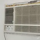 جده حي الاجاويد بجوار حي السنابل