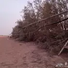 رشاش ثلاثه أبراج