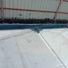 المبرز