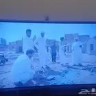 تلفزيون 65 بوصة