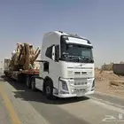 لوبد اليجار جميع أنحاء المملكة