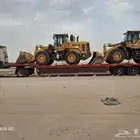 لوبد متواجد في حفرالباطن قيصومه صداوي