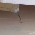 شراع شد انشائي