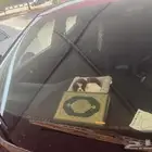 هونداي فيلوستر