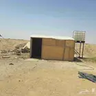 اغرف خشب وبيوت شعر