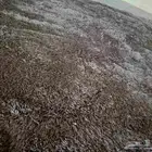 موكيت بلجيكي 4ب 5 متر بسعر مناسب وبحاله ممتازة مغسول ونظيف ل