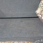 مجلس عربي لون اخضر زيتي