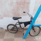 ربو