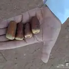 تمر ام الحمام (داحسيه)