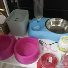 كل ادوات القطط المعروضه ب50 ريال