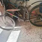 سيكل كوبرة مقاس26