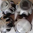 قطيات جنوط اخطبوط للبيع الموقع لاحساء
