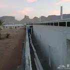 لياسه ملونه بديل الحجر الطبيعي تغنيك عن اليسه العاديه