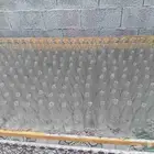 قاروره توت الحبه ريالين الكيس فيه 50 حبه ب100ريال