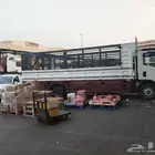 دينا شبك موجود في جده تحميل أغراض الي اي اتجاه