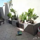 احواض زراعيه المنزلية والعامة. زراعة الأشجار والنباتات و