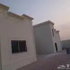 لياسه ملونه بديل الحجر اطبيعي