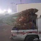 سلام عليكم ورحمة الله وبركاته نخل متوجد في مكه اللبيع