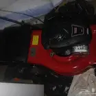 قصاصة عشب وانجيلا