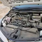 كورلا فل كامل وكاله اخت الجديده 2025 كل شيء وكاله
