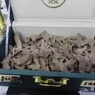 فيتنامي طبيعي سوبر مرتفع ولايخلو من الدبل