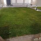 مشتل الجوهره