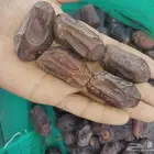 خضري فاخر للبيع كميات