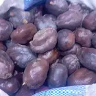 دوم الحبه بي ربع ريال