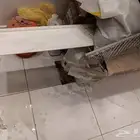 نعله فوم للبيع المقاس 3 متر عندي ست كراتين و كل كرتون فيه 6