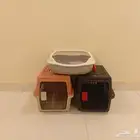 مستلزمات قطط