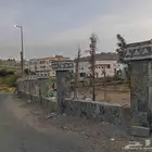 شغل حجر تلبيس