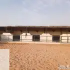 معلم بوهيا