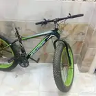 سيكل مصري