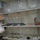 دروع بوكسات
