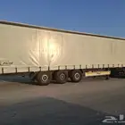ستاره سف نضامي