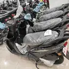 الدباب العجيب