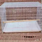 مستلزمات طيور