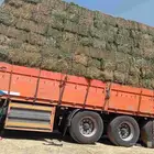 برسيم مخلوط شد ووزن خلط خفيف