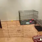 للبيع اقفاص وسياج وبادز للكلاب والقطط