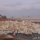 صناديق فل حق الورد اللي يبي يشتريهم
