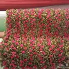 عشب جداري تودي وثردي