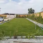 عشب طبيعي القصيم عشب صناعي تنسيق استراحه