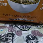 cat accessories and 10 kg dry food