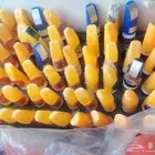 اقلام بوية اقلب انواع السيارات متوفر بالرقم