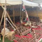 عز نا بجودنا وعروضنا لليوم الوطني 95 .. جمعناها لكم بمكان