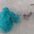 مخدجه نايلو جديده