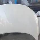 كبوت ابيض اكستريل 2023