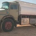 عايدي بوز 82