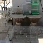 للبيع مشربات وشبوك للطيور
